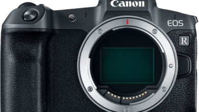 Photo of 5 Things We Love About the Canon R Mirrorless Camera ‣ Frame by Frame: A Samy’s Camera Blog